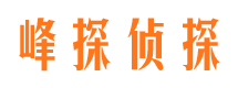 赫山市婚姻调查